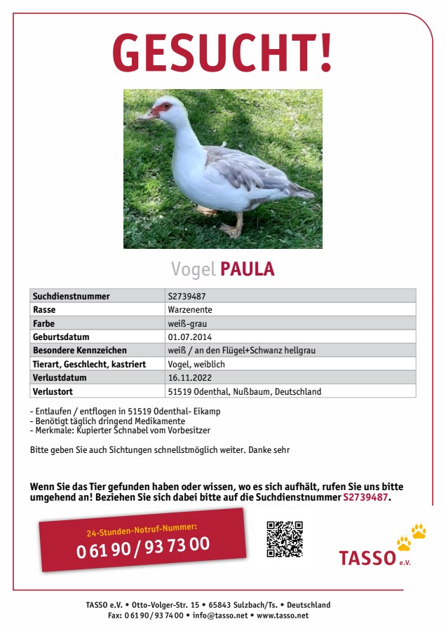 Vermisst Ente Paula.jpg